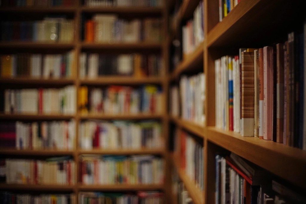 Free library shelves many books
